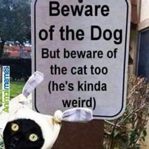 Meet your Posher, Diana 🦋